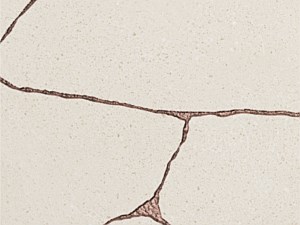 Kintsugi Hibi Moonlight 24x48 